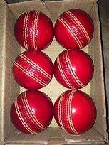 Image result for Practice Leather Cricket Ball