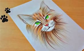 Image result for Easy Cat Drawings Pencil