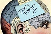 Image result for Prospective Memory Exercises