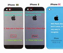 Image result for iPhone 5S Back Size