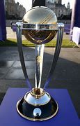 Image result for Cricket Trophy Label