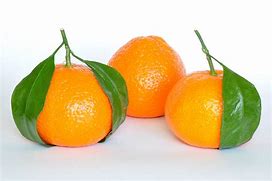 Image result for Cirtris Orange