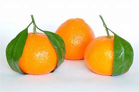 Image result for Mandarin Orange Color
