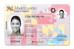 Image result for MVA Maryland Real ID