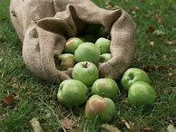 Image result for Gunny Sack with Apple's