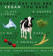 Image result for Vegan Animal Rights