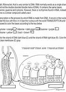 Image result for Colorable Transcription Diagram