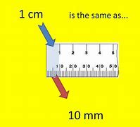 Image result for Picture of Something 1 Cm