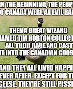 Image result for Canada Goose Meme