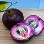 Image result for Project Purple Apple