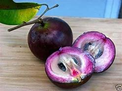 Image result for Purple Star Apple Fruit