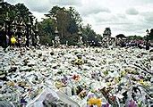 Image result for Princess Diana Funeral Westminster Abbey