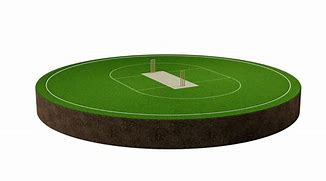 Image result for Cricket Field Stock Photography