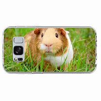 Image result for Guinea Pig Phone Case