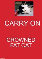 Image result for Fat Cat Pizza Memes