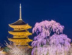 Image result for Toji Temple Kyoto