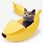 Image result for Banana Cat Gift