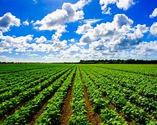 Image result for Sustainable Agriculture HD Pictures