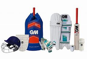 Image result for Cricket Kit for Kids
