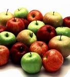 Image result for Apple Fruit Transparent Background