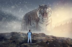 Image result for Largest Known Tiger