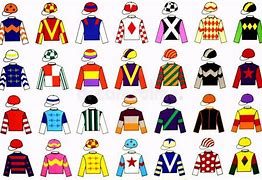 Image result for Jockey Colours