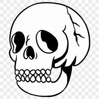 Image result for Skull Stickers with White Background