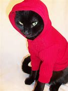 Image result for Cheshire Cat Hoodie