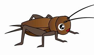 Image result for Cricket the Bug