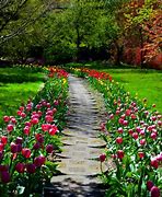 Image result for Tulip Garden Layout