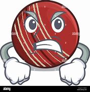 Image result for Angry Cricket Fan