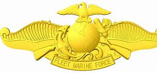 Image result for Fleet Marine Force Corpsman PNG