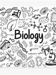 Image result for Biology Word Art