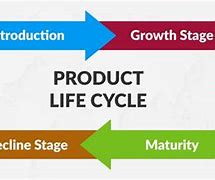 Image result for Different Stages of Product Life Cycle