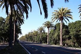 Image result for 221 University Ave., Palo Alto, CA 94301 United States