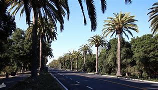 Image result for 4269 El Camino Real, Palo Alto, CA 94310 United States