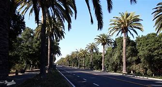 Image result for 3000 El Camino Real, Palo Alto, CA 94306
