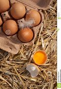 Image result for Farm Fresh Brown Eggs