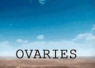 Image result for Ovaries Explode Meme