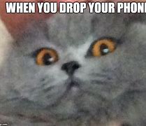Image result for When You Drop Your Phone Meme