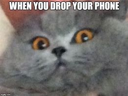 Image result for Scared of Phone Calls Meme