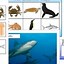 Image result for Ocean Theme Border Clip Art