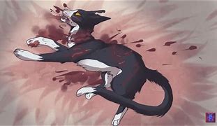 Image result for Dead Cat Drawing