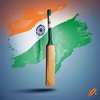 Image result for Indian Flag Cricket Bat Grip