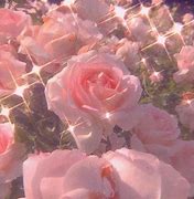 Image result for Cute Pastel Pink Aesthetic Flowers