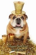Image result for Happy New Year Bulldog Meme