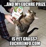 Image result for Euchre Memes