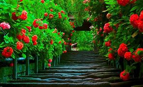 Image result for Beautiful Lock Screen Wallpaper for Laptop