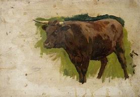 Image result for Cow and Bull Art