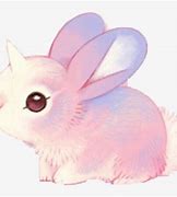 Image result for Unicorn Bunny